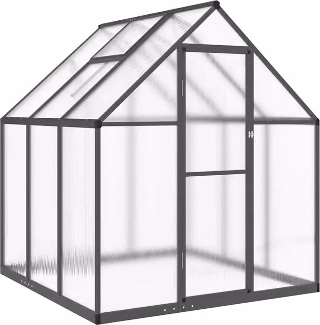 Tenda da serra per piante, fiori e ortaggi con telaio in alluminio antracite e copertura in policarbonato trasparente, L/P/H: 169 x 169 x 195 cm