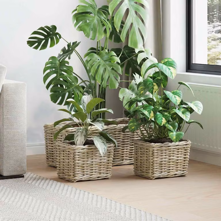Set di 3 cestini per vasi vidaXL GENDT in rattan Kubu, colore grigio e beige, stile rustico