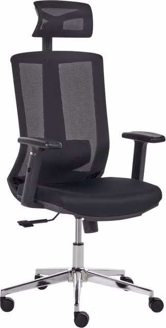 Sedia da ufficio ergonomica BELIANI in tessuto e rete nera con schienale regolabile, poggiatesta e braccioli, design moderno per home office