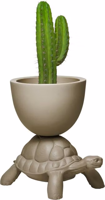 Vaso da tavolo Qeeboo Turtle in polietilene grigio o beige
