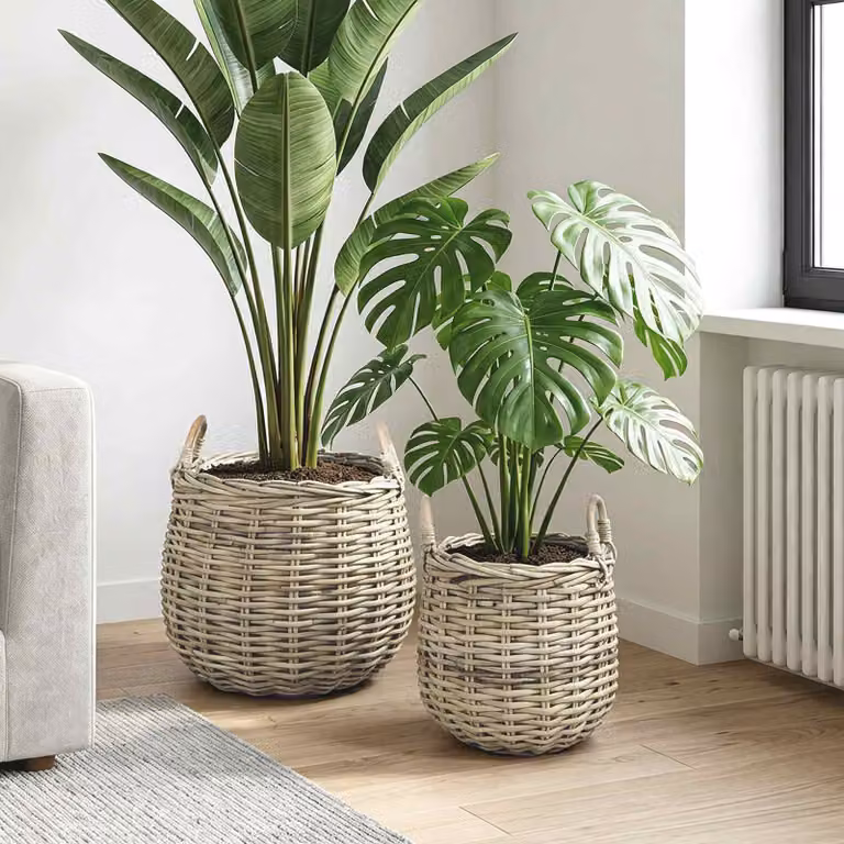 Set di 2 cestini per piante vidaXL GENDT in rattan color grigio e beige con maniglie