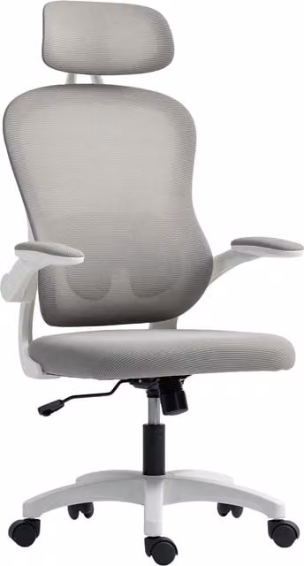 Sedia da ufficio ergonomica HOMCOM con schienale in rete, braccioli pieghevoli e funzione basculante, grigia