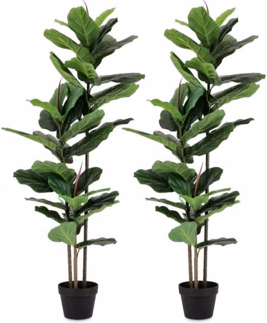 Set di 2 Piante Artificiali Ficus Lyrata Verdi con Vaso di GIORDANOSHOP H 145 cm x L 100 cm x P 60 cm