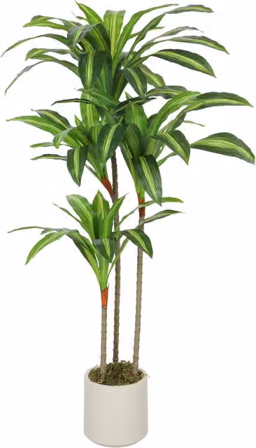 Pianta artificiale Dracena verde HOMCOM in PEVA e legno con vaso in PP e cemento, H 120 x L 40 x P 40 cm